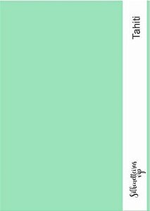 Papel Color Plus 240 gramas - A4 - Tahiti (verde claro)