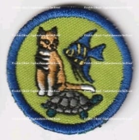 Animais de Estimação