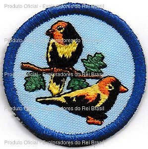 Estudo dos Pássaros