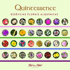 Kit 32 Essências Florais Flor de Amor