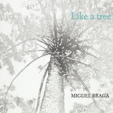 LIKE A TREE - Miguel Braga