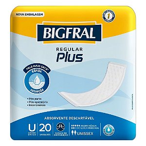 Absorvente Geriátrico Unissex Bigfral Regular Plus 20 Unidades