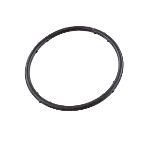 037121688 Anel Da Flange Válvula Termostática 1994>>2018