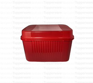 TUPPERWARE VISUAL BOX COM BANDEJA 4,5L
