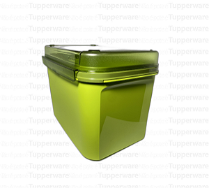 TUPPERWARE VISUAL BOX COM BANDEJA 6,5L