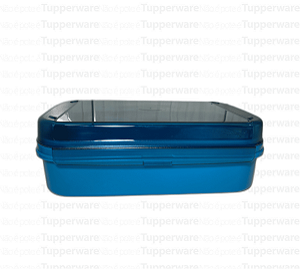 TUPPERWARE VISUAL BOX COM BANDEJA 2,3L