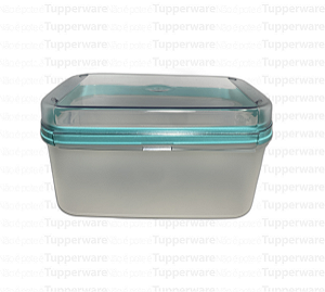 TUPPERWARE MODULAR CLASSIC RETANGULAR 4,3L
