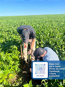 Calador (sonda) Para Adubo (fertilizante) 7 janelas