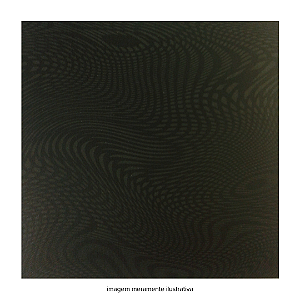 Piso Cerâmico "B" 43x43 Ref.4334 Nero Preto Ceral