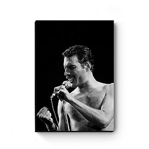 Quadro decorativo MDF Freddie Mercury