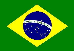 Bordado Bandeira do Brasil