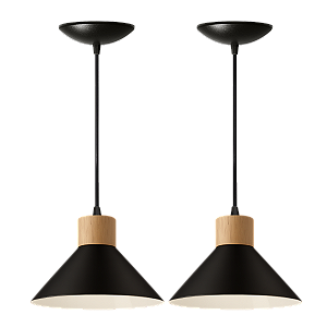 kit 2 Luminária Pendente Zen Preto e Branco