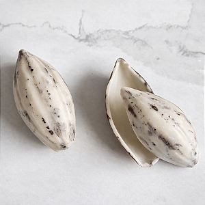 FORMA ESPECIAL 10064 CACAU GOURMET BWB