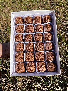 CAIXA PARA 20 DOCES 24X16,5CM BRANCA PCT/6UN MAX PAPER