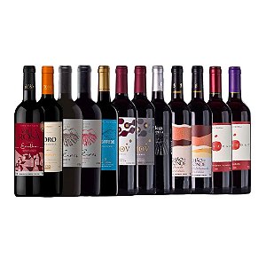 Kit 12 Vinhos Tintos: Inverno 2022 - 750ML