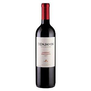Vinho Tinto Argentino Benjamin Nieto Senetiner Cabernet Sauvignon - 750ml