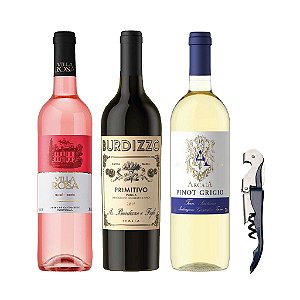 Trio Castas + Abridor Personalizado: 1 VINHO ITALIANO BURDIZZO PRIMITIVO 750ML + 1 VILLA ROSA ROSE  750ML + 1 VINHO ARCAIA BRANCO PINOT GRIGIO 750ML