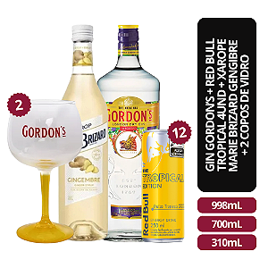 Kit Gin Gordon’s + Red Bull Tropical 4 Unidades + Xarope de Gengibre + 2 Copos de Vidro