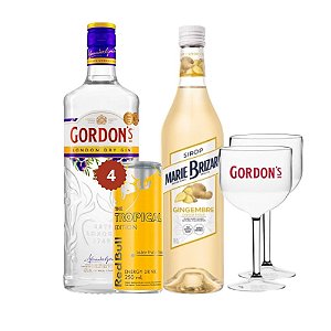 Gin Gordon’s Fusion Drinks + 2 TAÇAS