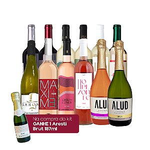 Kit de 12 Vinhos Mistos Verão 2026 - 750ML + BRINDE (Espumante Aresti Chardonnay Brut - 187ML)
