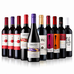 KIT 10 VINHOS TINTOS