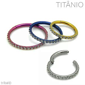 Anel Segmentado Articulado com Zircônias Titânio 1.6mm