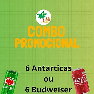 COMBO COM 6 CERVEJAS- ANTÁRTICA OU BUDWEISER