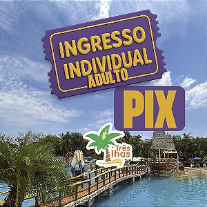 1 INGRESSO ADULTO - PIX (A PARTIR DE 12 ANOS)