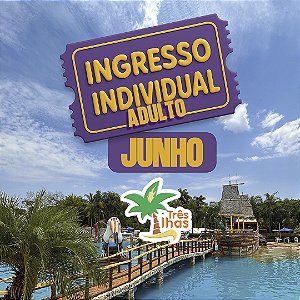 1 INGRESSO ADULTO JUNHO (A PARTIR DE 12 ANOS)
