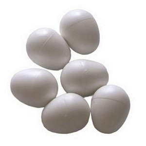 20 x Ovos Indez Branco - Para Red Rumped e Rosela - N6 - Unidade - Animalplast
