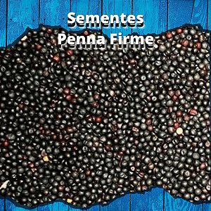 Sementes de Colza - 1Kg