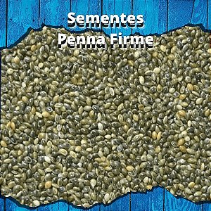 Sementes de Painço Verde - 1kg