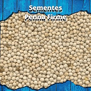 Sementes de Perila Branca - 500g