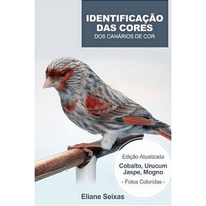 Livro - Identificação das Cores