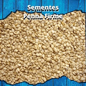 Sementes de Gergelim - 1kg