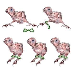 Algema Bracelete Para Correção de Pernas Para Papagaio do Congo - Cacatua