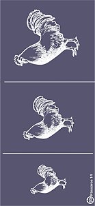 Pássaros 14