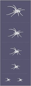 Aranhas 12 - stencil 28 x 13 cm