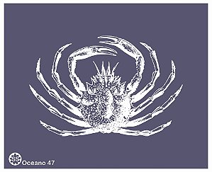 Oceano 47 - stencil 16 x 13 cm