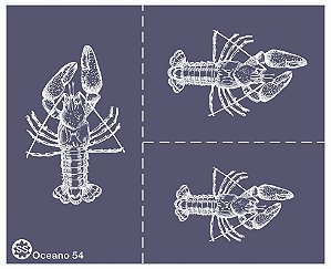 Oceano 54 - stencil 16 x 13 cm