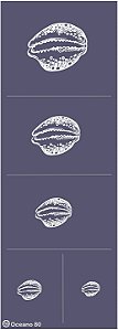 Oceano 80 - stencil 28 x 10 cm