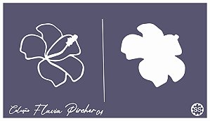 Flavia Pircher 04