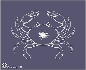 Oceano 100