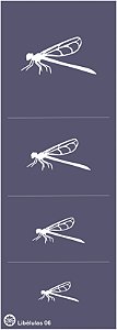 Libélulas 06