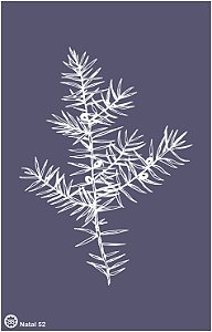 Natal 52