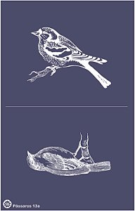 Pássaros 13a - stencil 25 x 16 cm