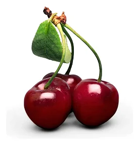 Cereja - Muda Frutífera Para Plantio - Enxertada