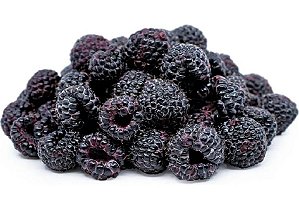 Framboesa Negra - Muda Pequena - Produz Em Vaso