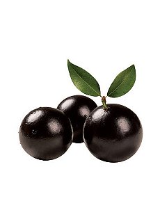 Jabuticaba Hibrida - Muda Grande