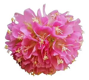 Dombéia / Astrapéia Rosa - Muda Próxima De Florir